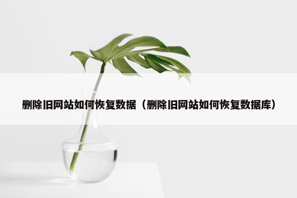 删除旧网站如何恢复数据（删除旧网站如何恢复数据库）
