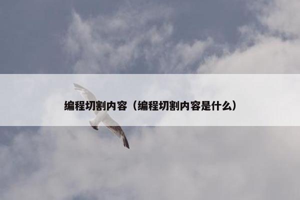 编程切割内容（编程切割内容是什么）