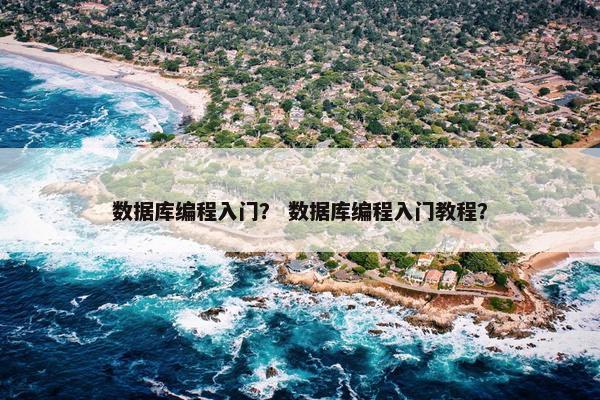 数据库编程入门？ 数据库编程入门教程？