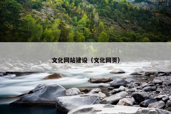 文化网站建设（文化网页）