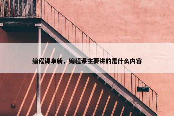 编程课阜新，编程课主要讲的是什么内容