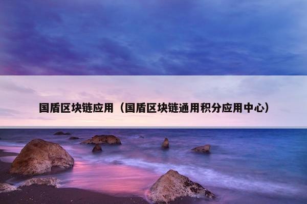 国盾区块链应用（国盾区块链通用积分应用中心）