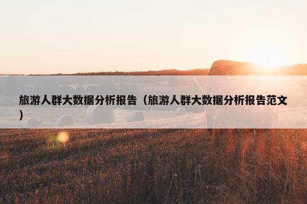 旅游人群大数据分析报告（旅游人群大数据分析报告范文）