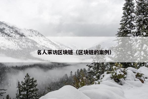 名人采访区块链（区块链的案例）