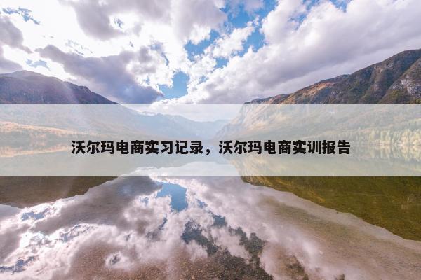 沃尔玛电商实习记录，沃尔玛电商实训报告
