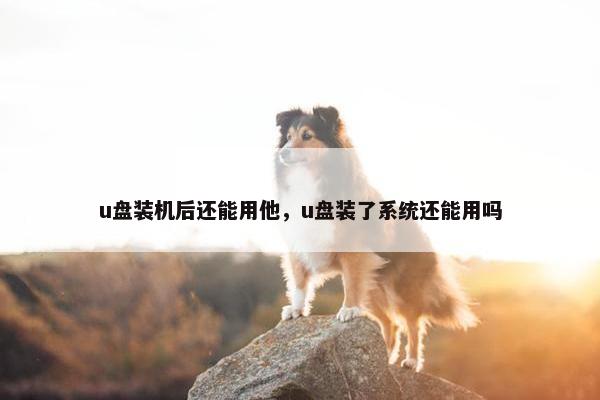 u盘装机后还能用他，u盘装了系统还能用吗