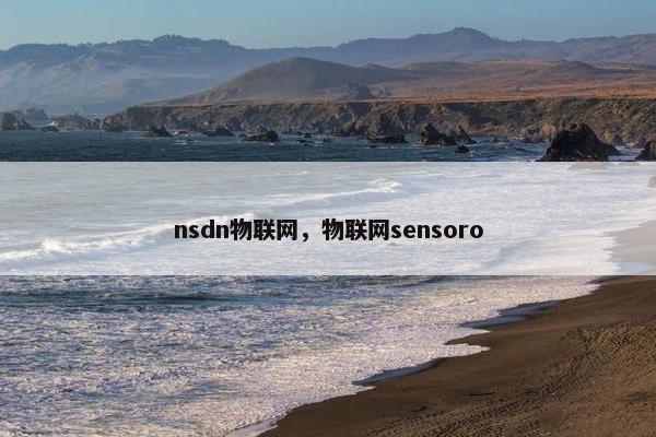 nsdn物联网，物联网sensoro