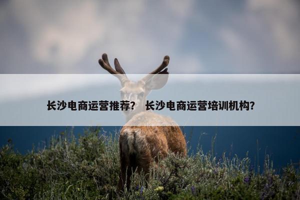 长沙电商运营推荐？ 长沙电商运营培训机构？