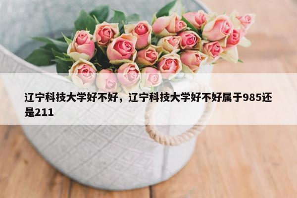 辽宁科技大学好不好，辽宁科技大学好不好属于985还是211