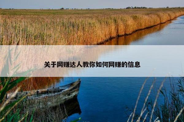 关于网赚达人教你如何网赚的信息