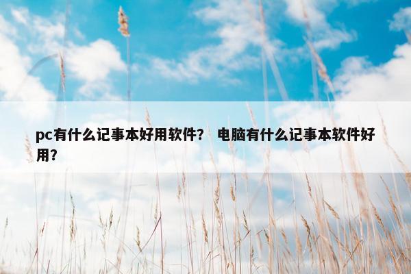 pc有什么记事本好用软件？ 电脑有什么记事本软件好用？