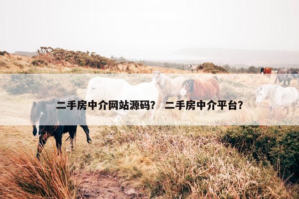 二手房中介网站源码？ 二手房中介平台？