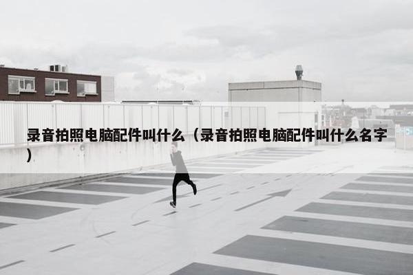 录音拍照电脑配件叫什么（录音拍照电脑配件叫什么名字）
