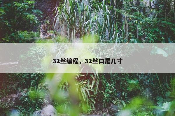 32丝编程，32丝口是几寸