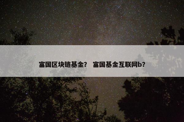 富国区块链基金？ 富国基金互联网b？