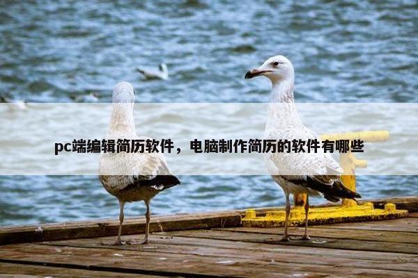 pc端编辑简历软件，电脑制作简历的软件有哪些