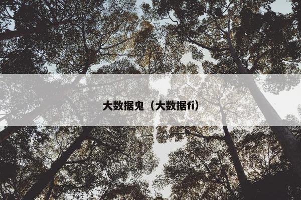 大数据鬼（大数据fi）