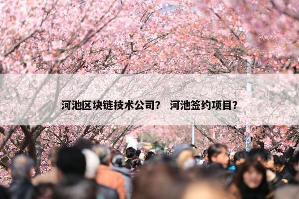 河池区块链技术公司？ 河池签约项目？