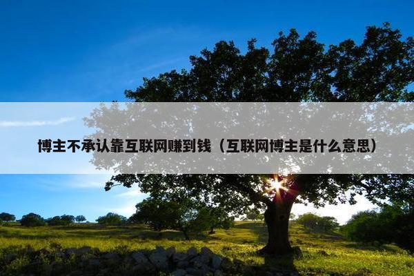 博主不承认靠互联网赚到钱（互联网博主是什么意思）