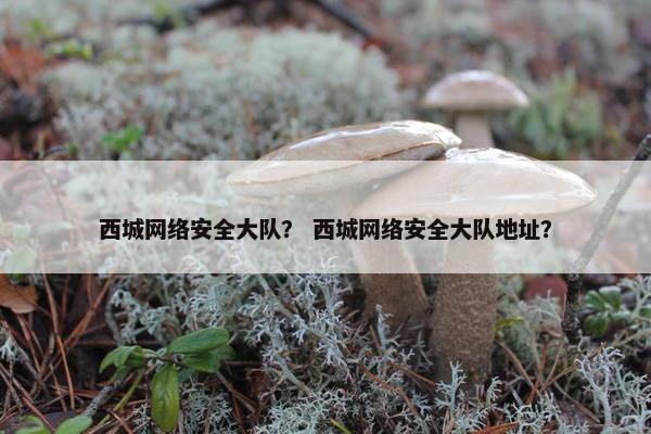西城网络安全大队？ 西城网络安全大队地址？