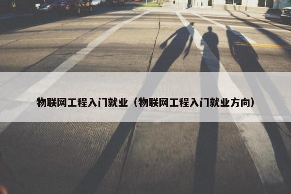 物联网工程入门就业（物联网工程入门就业方向）