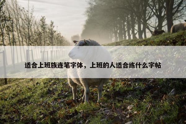 适合上班族连笔字体，上班的人适合练什么字帖