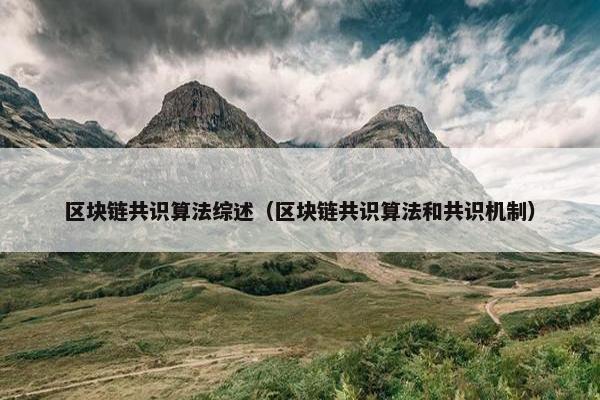 区块链共识算法综述（区块链共识算法和共识机制）