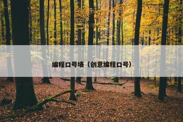编程口号墙（创意编程口号）