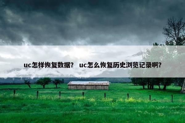 uc怎样恢复数据？ uc怎么恢复历史浏览记录啊？