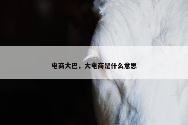 电商大巴，大电商是什么意思