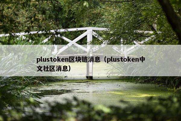 plustoken区块链消息（plustoken中文社区消息）