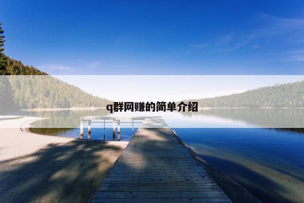 q群网赚的简单介绍