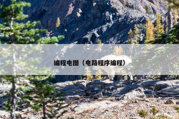 编程电图（电路程序编程）