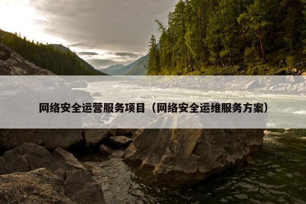 网络安全运营服务项目（网络安全运维服务方案）