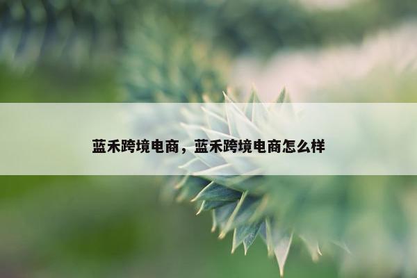 蓝禾跨境电商，蓝禾跨境电商怎么样