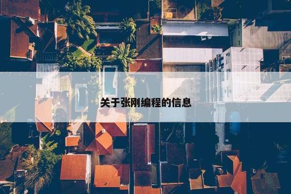 关于张刚编程的信息