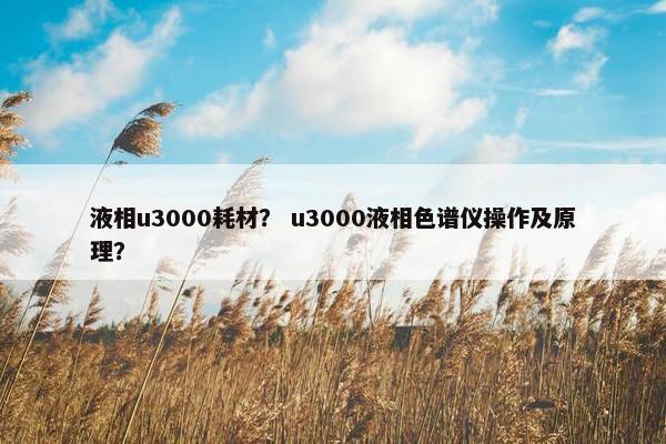液相u3000耗材？ u3000液相色谱仪操作及原理？