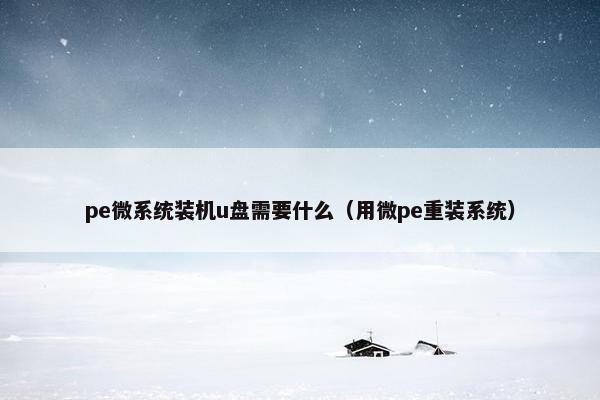 pe微系统装机u盘需要什么（用微pe重装系统）