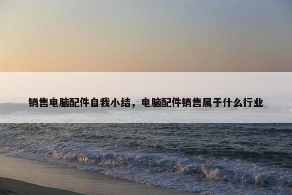 销售电脑配件自我小结，电脑配件销售属于什么行业