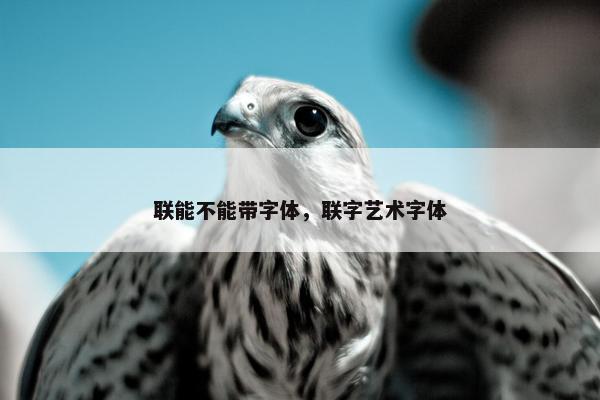 联能不能带字体，联字艺术字体