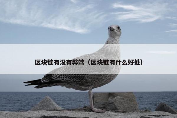 区块链有没有弊端（区块链有什么好处）