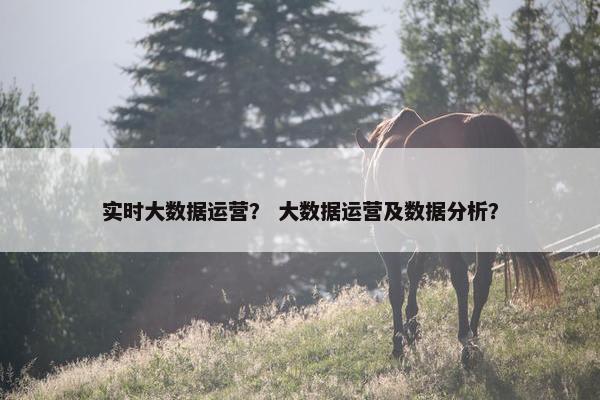 实时大数据运营？ 大数据运营及数据分析？