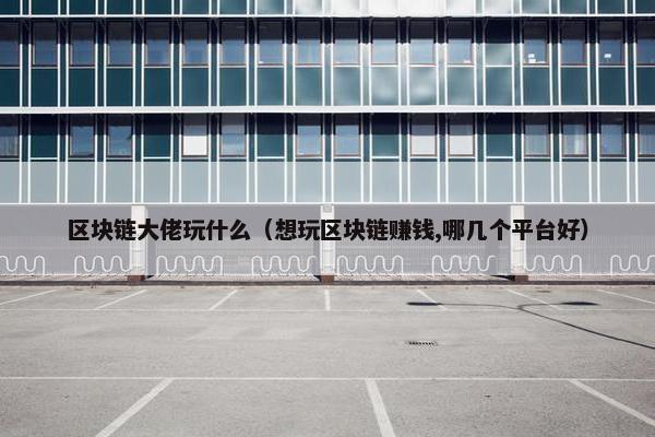 区块链大佬玩什么（想玩区块链赚钱,哪几个平台好）