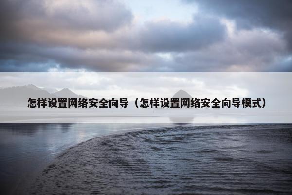 怎样设置网络安全向导（怎样设置网络安全向导模式）