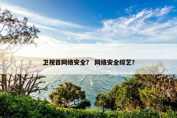 卫视首网络安全？ 网络安全综艺？