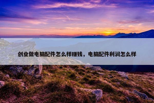 创业做电脑配件怎么样赚钱，电脑配件利润怎么样