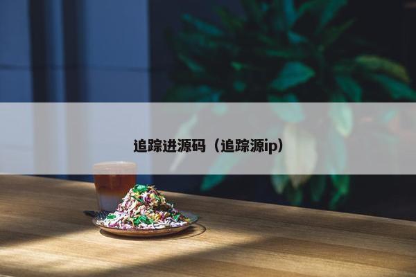 追踪进源码（追踪源ip）