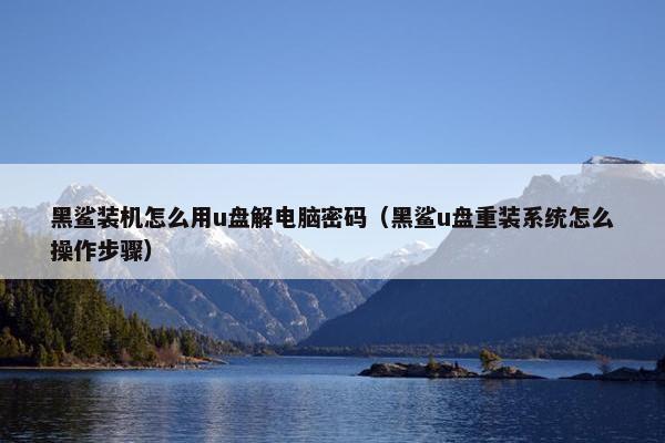 黑鲨装机怎么用u盘解电脑密码（黑鲨u盘重装系统怎么操作步骤）