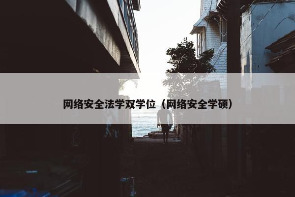 网络安全法学双学位（网络安全学硕）