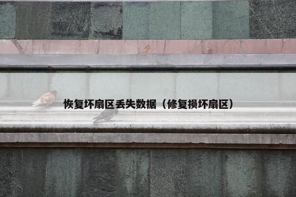 恢复坏扇区丢失数据（修复损坏扇区）